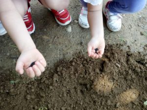 bambini con semi nel palmo della mano