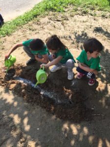 tre bambini con maglietta verde innaffiano